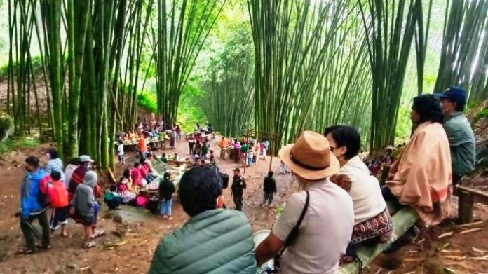 Gerakan Nasional Menanam Bambu sebagai Legacy Presiden Prabowo