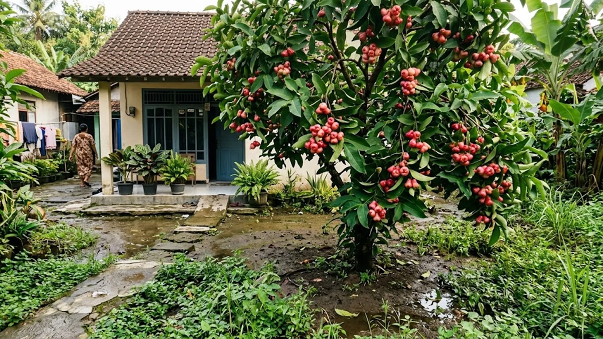 23 Tanaman yang Cocok untuk Halaman dengan Drainase Kurang Baik